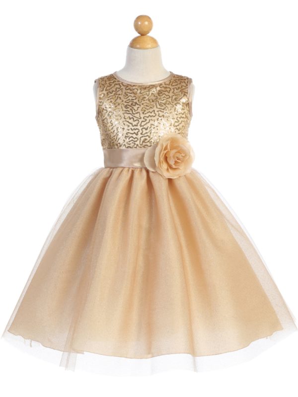 BL245 Gold — BL245C AQU Sequined mesh with Glitter tulle - Flower Girl Dress