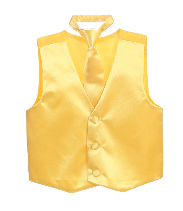 Vest yellow 01 scaled — VEST--L AQUA VEST--L - Mens